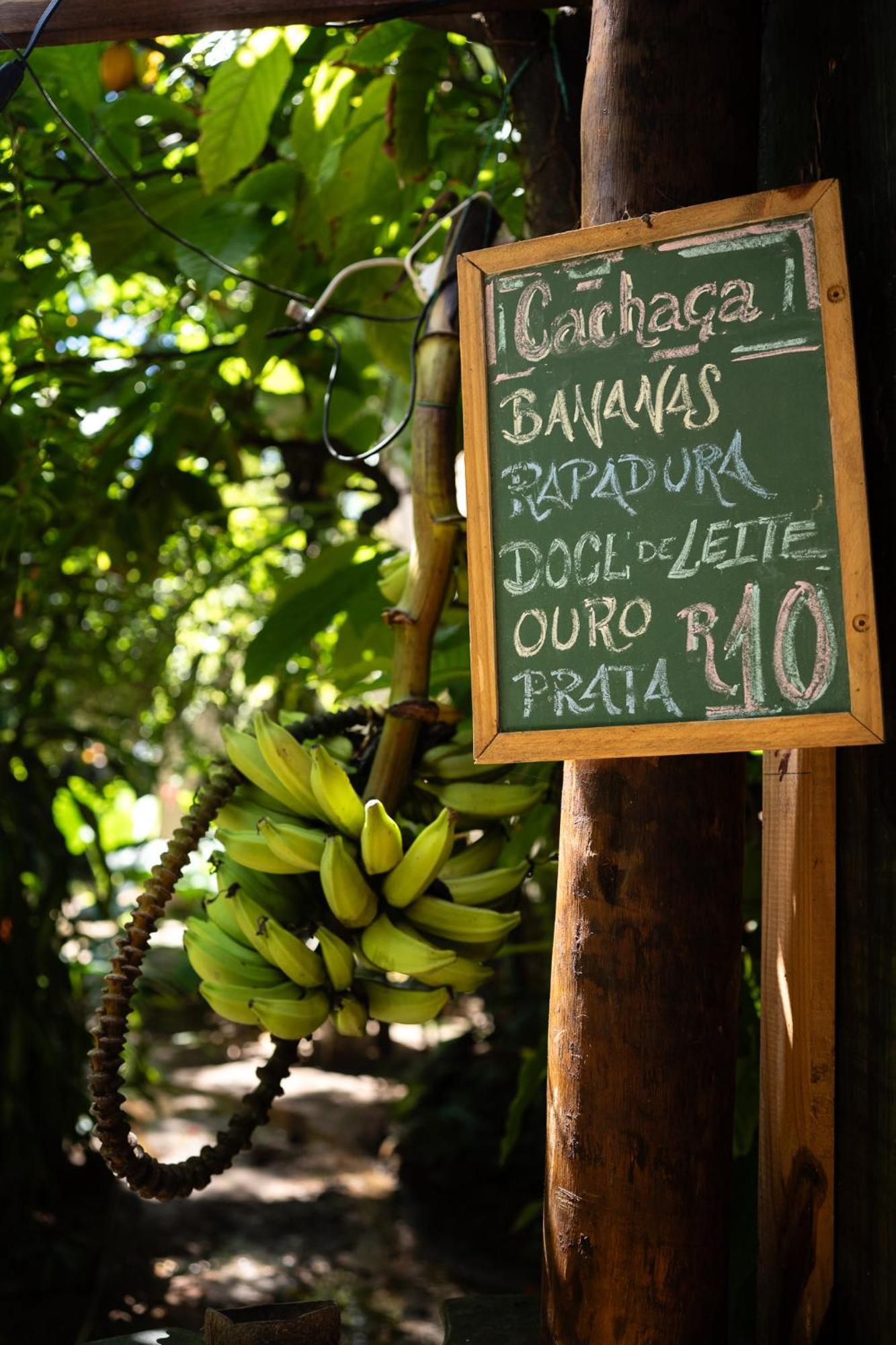 Albergue Bananas *