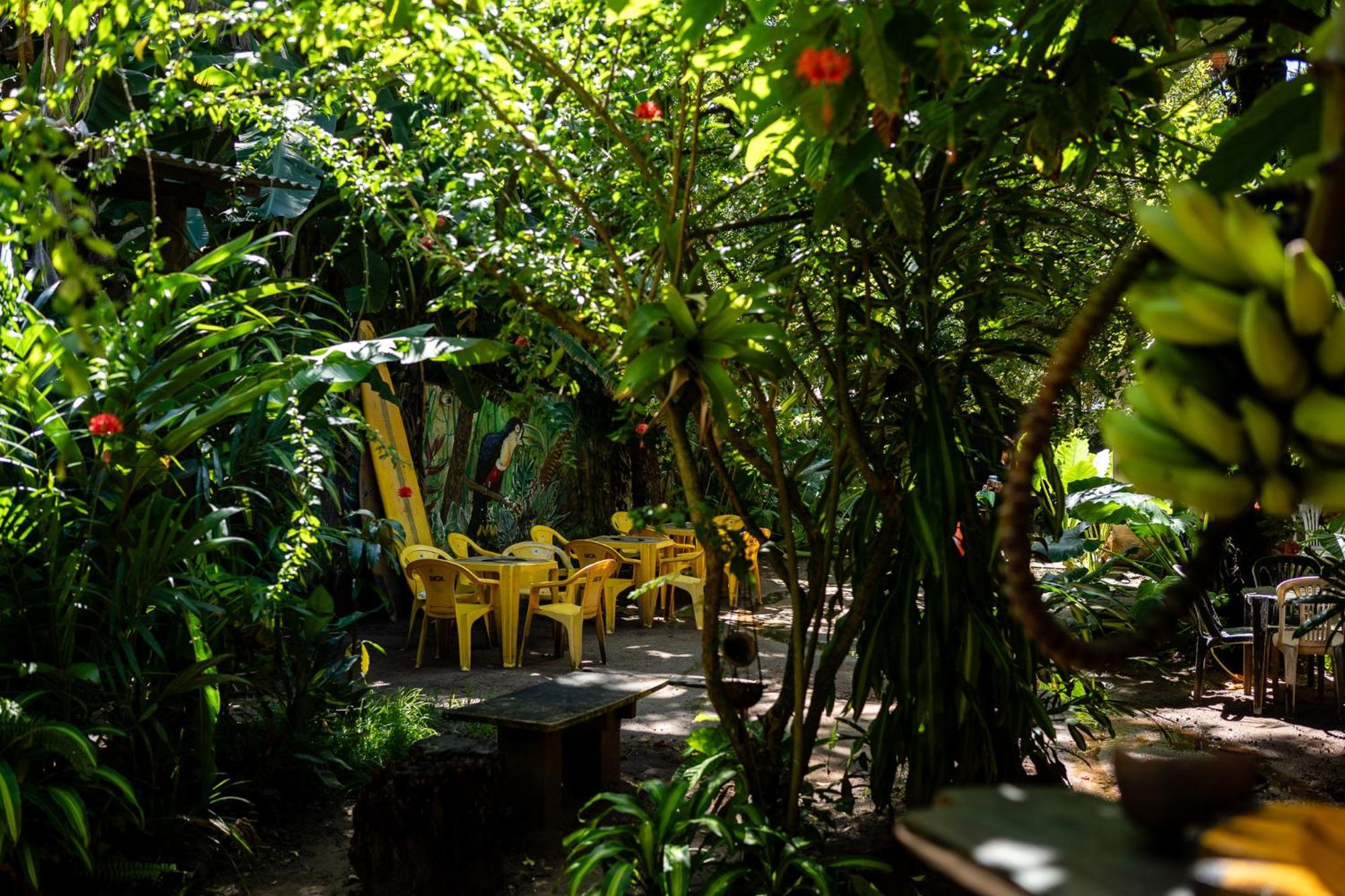 Albergue Bananas Itacaré